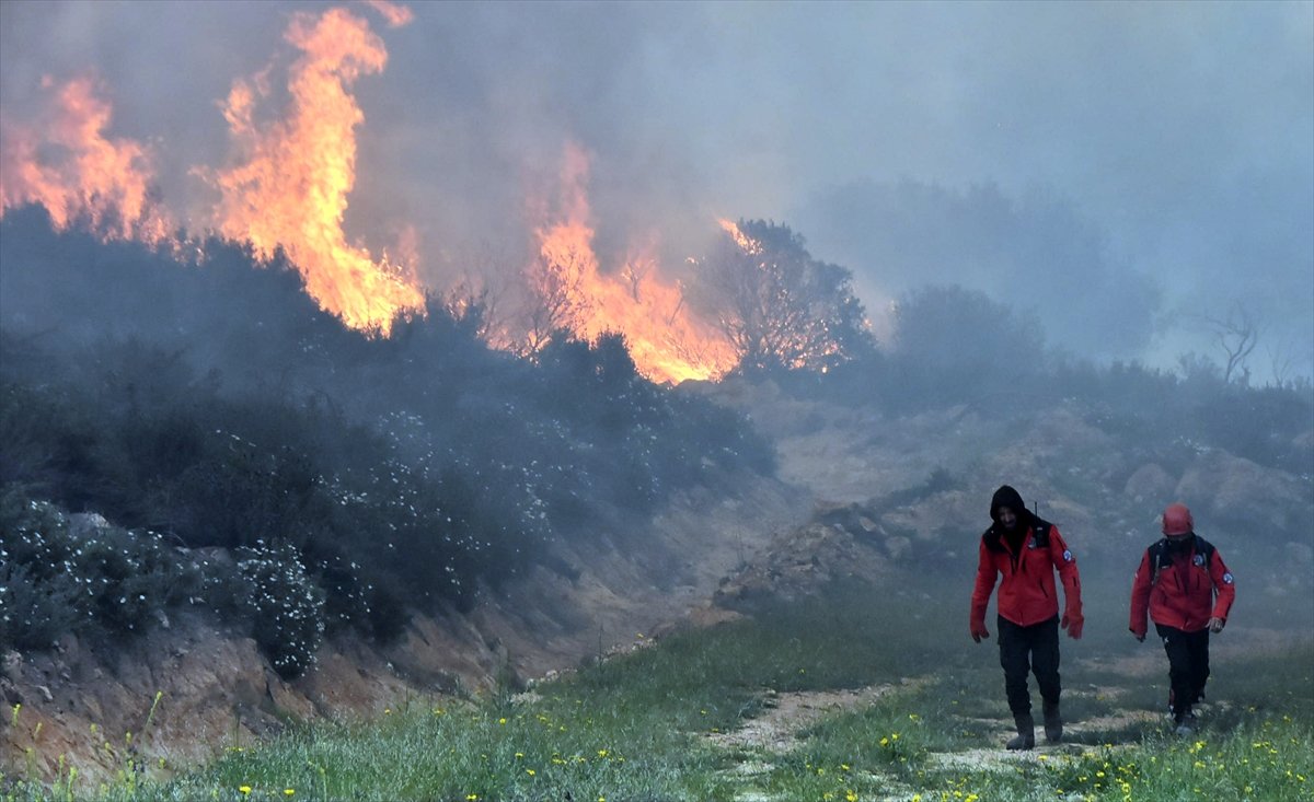 Bodrum da ormanlık alanda yangın çıktı #4
