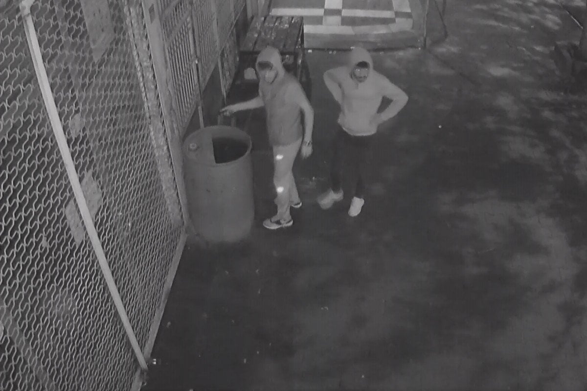 Şanlıurfa da bomba sanılan valizden 7 kilo esrar çıktı #2