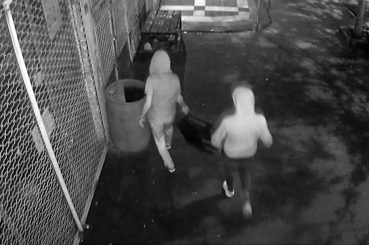 Şanlıurfa da bomba sanılan valizden 7 kilo esrar çıktı #1