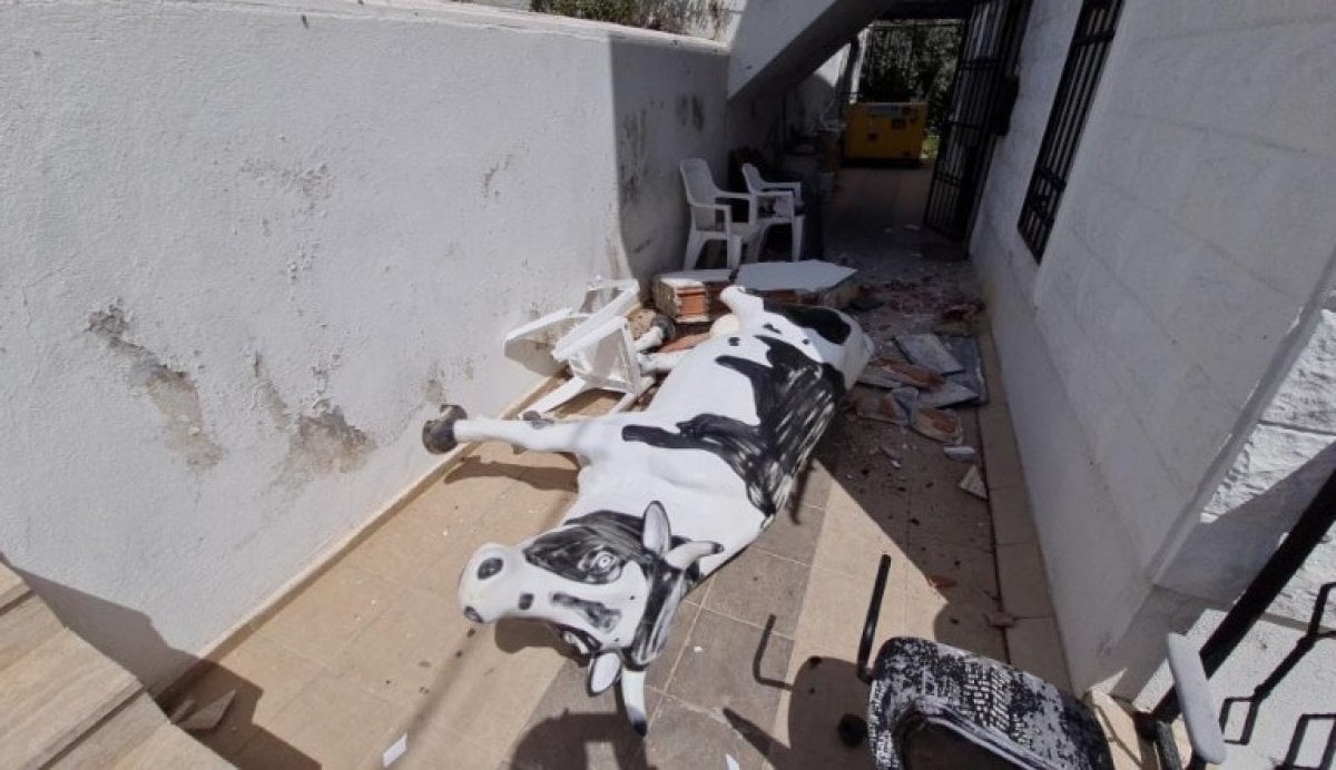 Muğla da vitesi karıştıran kadın sürücü, mağazaya girdi #2