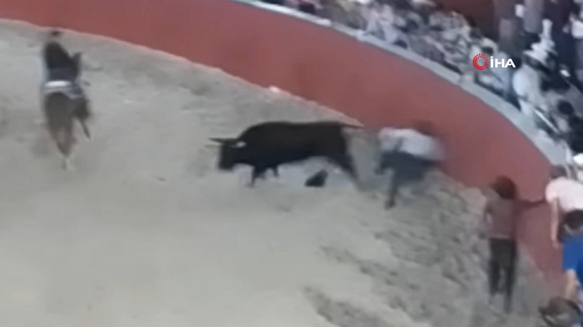 Blood shed at bull catching event with lasso in Mexico #1