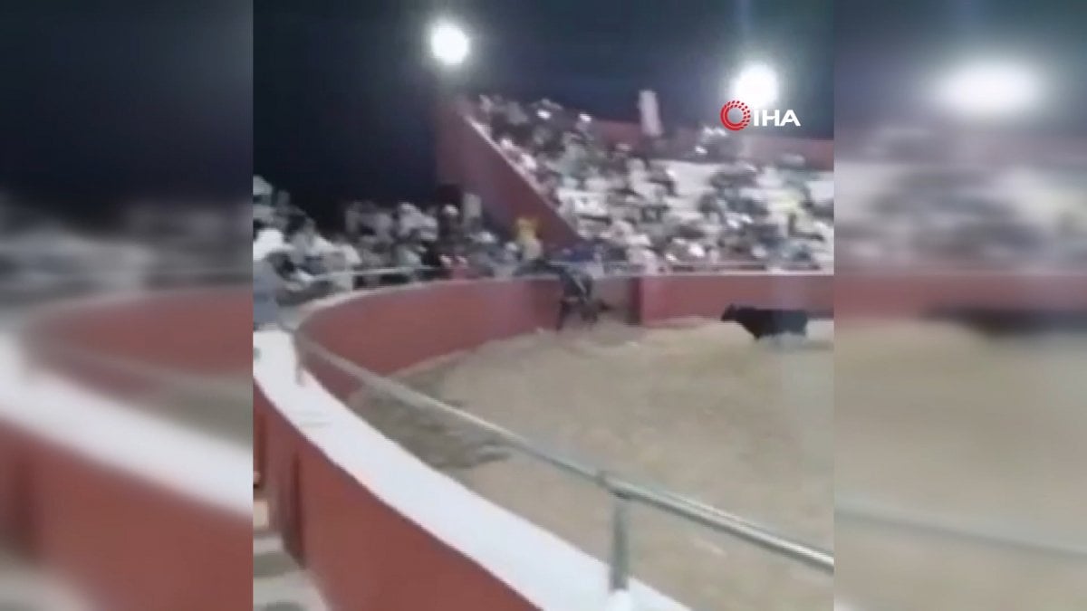 Blood shed at bull catching event with lasso in Mexico #3