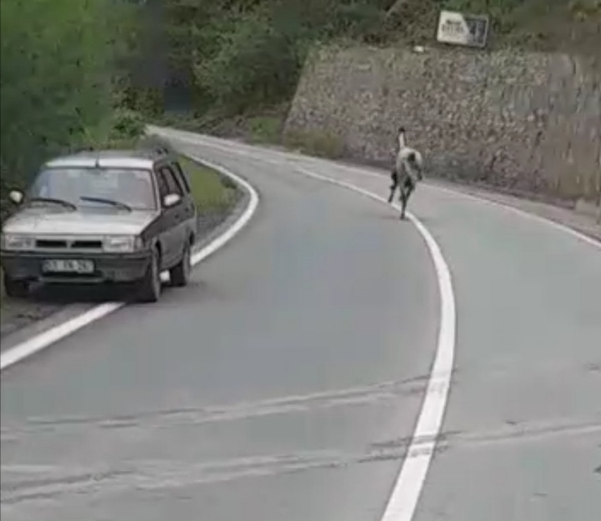 Rize’de kara yoluna çıkan at, 4 nala koştu #4