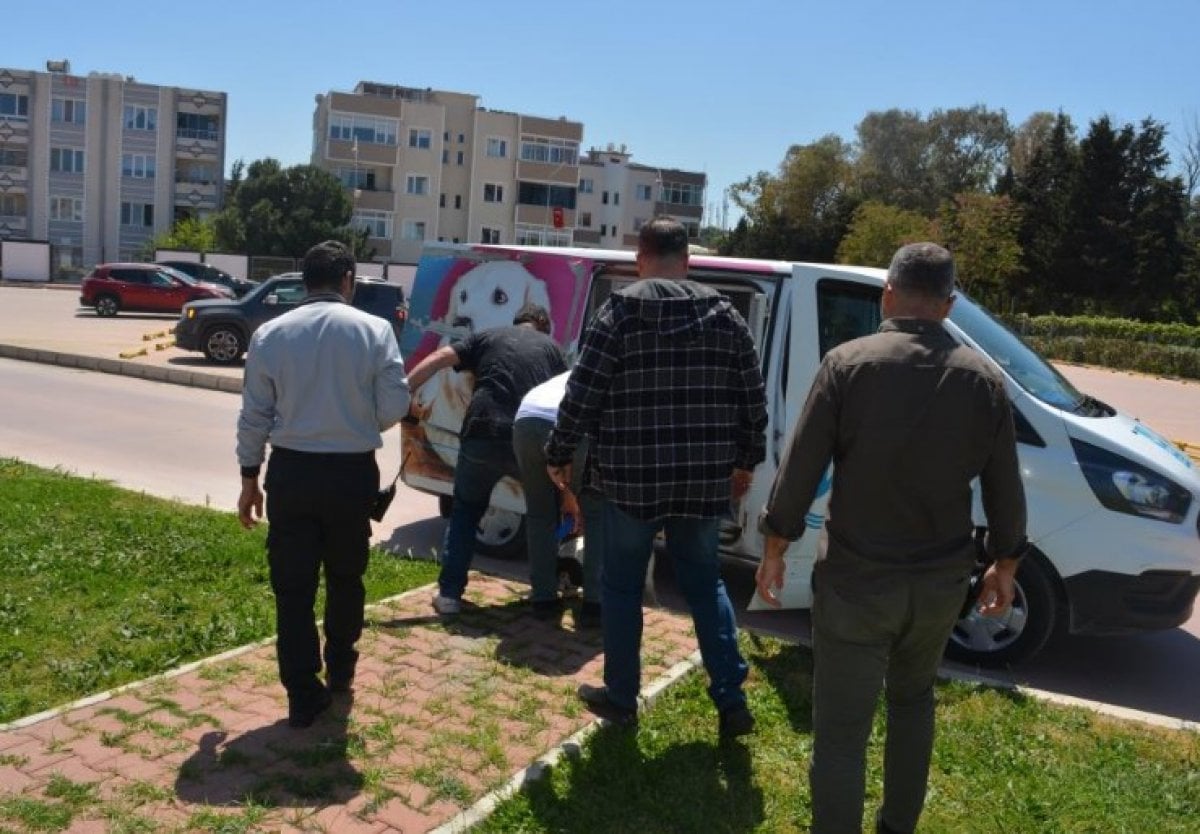 İzmir de başıboş pitbull başka bir köpeğe saldırdı #2