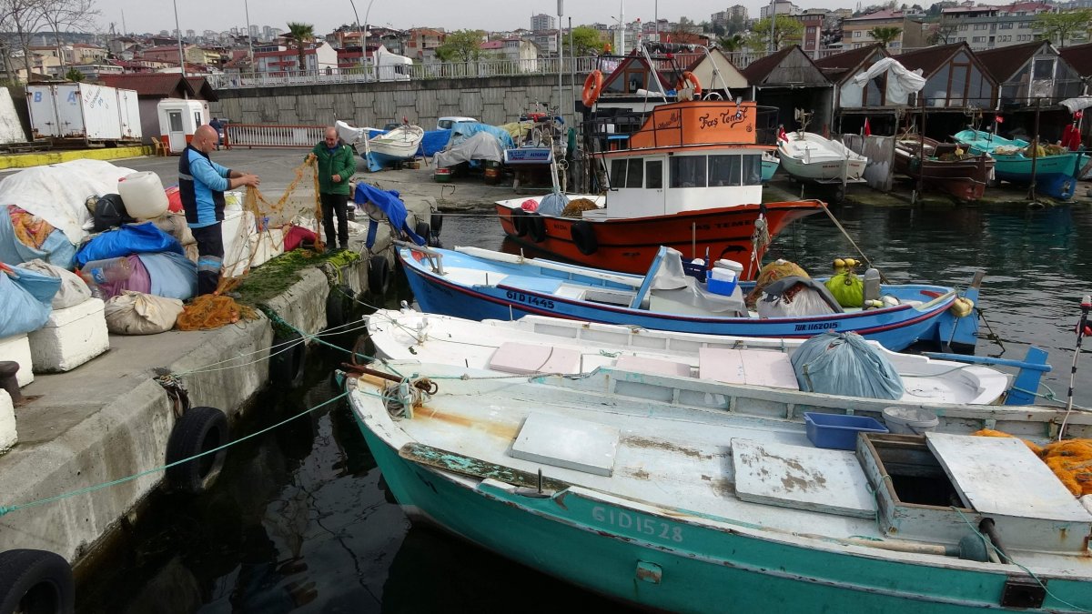 Trabzon da deniz, kıyı balıkçılarına kaldı #2