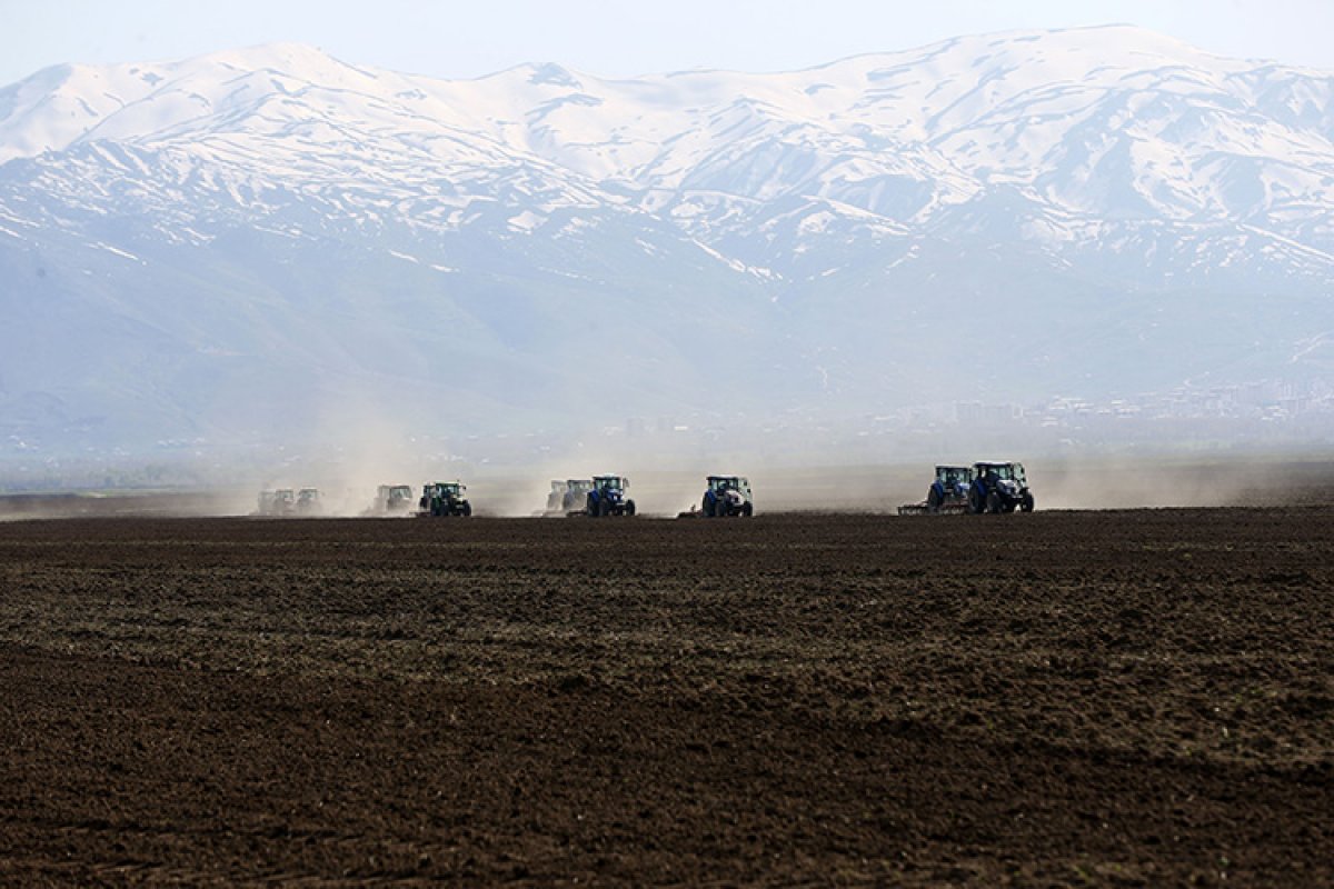 Muş Ovası nda karlar eridi, tarım mesaisi başladı #1