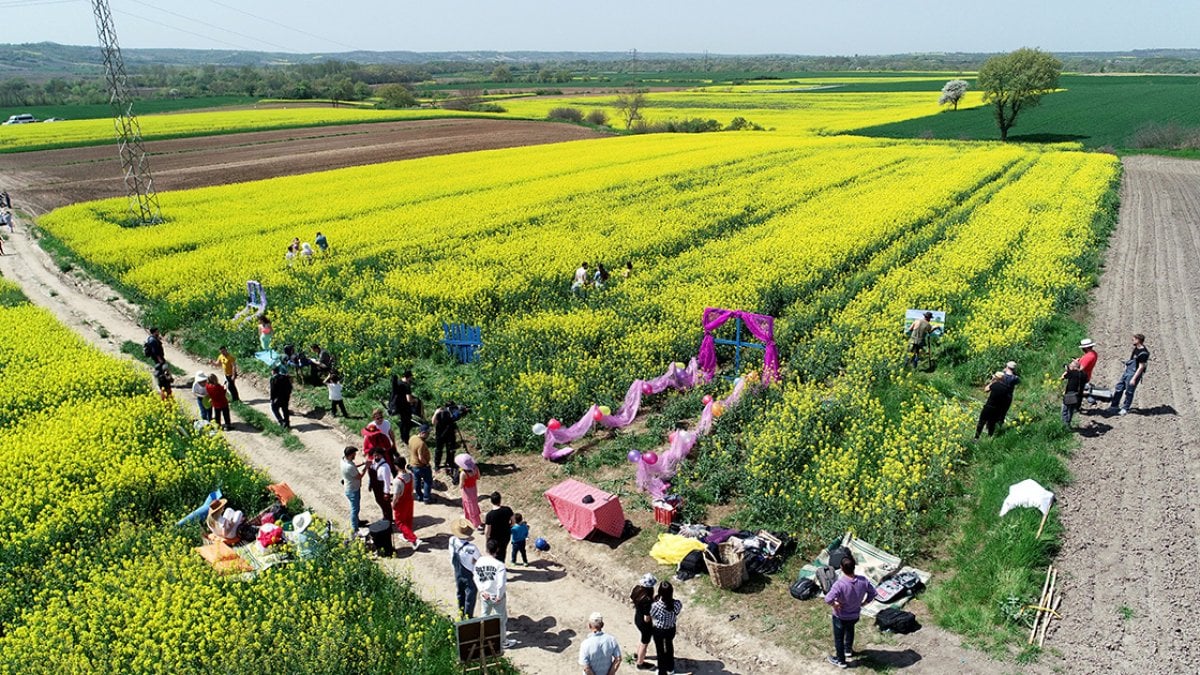 Trakya nın verimli toprakları fotoğrafçıların ilgi odağı #4