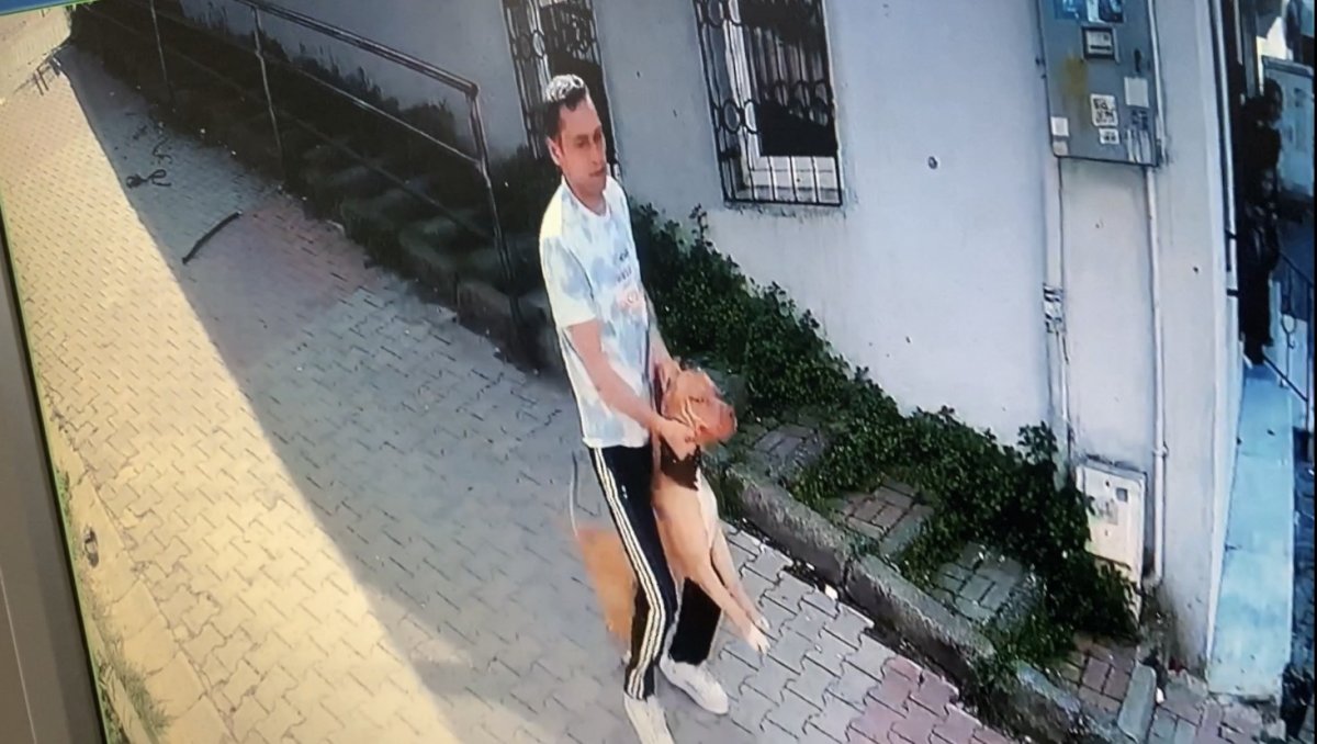 Kağıthane’de pitbull saldırısı kamerada #5