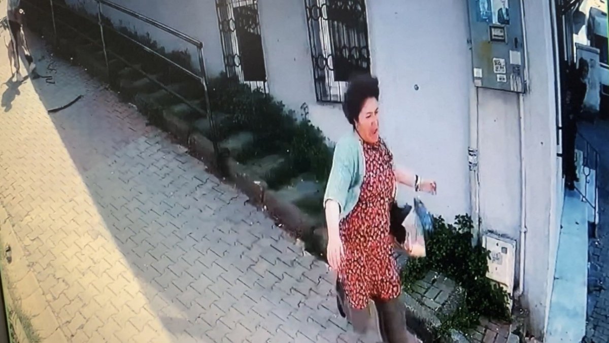 Kağıthane’de pitbull saldırısı kamerada #2