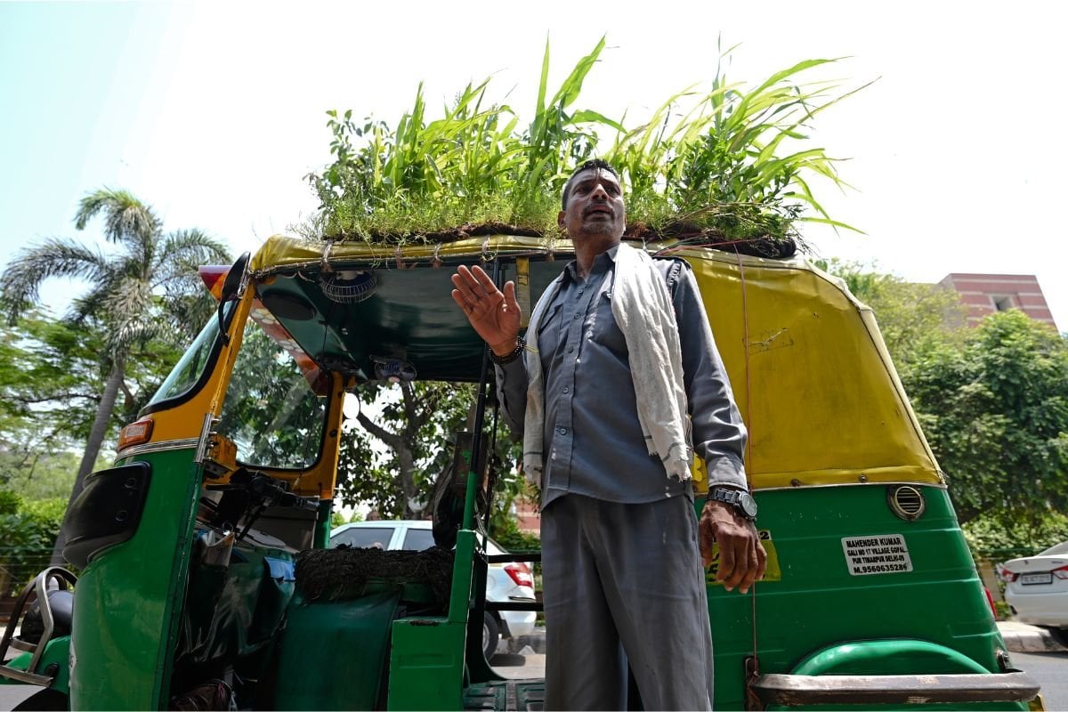 Indian driver's car with a garden draws attention #1