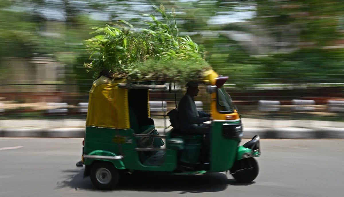 Hindistanlı şoförün bahçeli aracı dikkat çekiyor