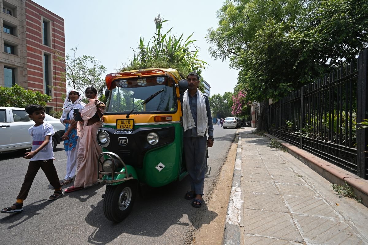 The vehicle of the Indian driver with a garden draws attention #2