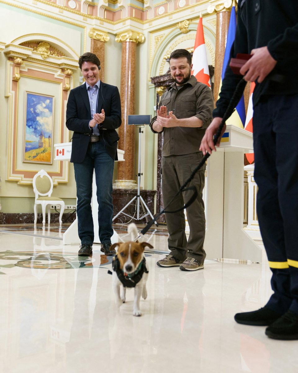 Vladimir Zelensky, mayınları tespit eden köpeğe devlet nişanı verdi