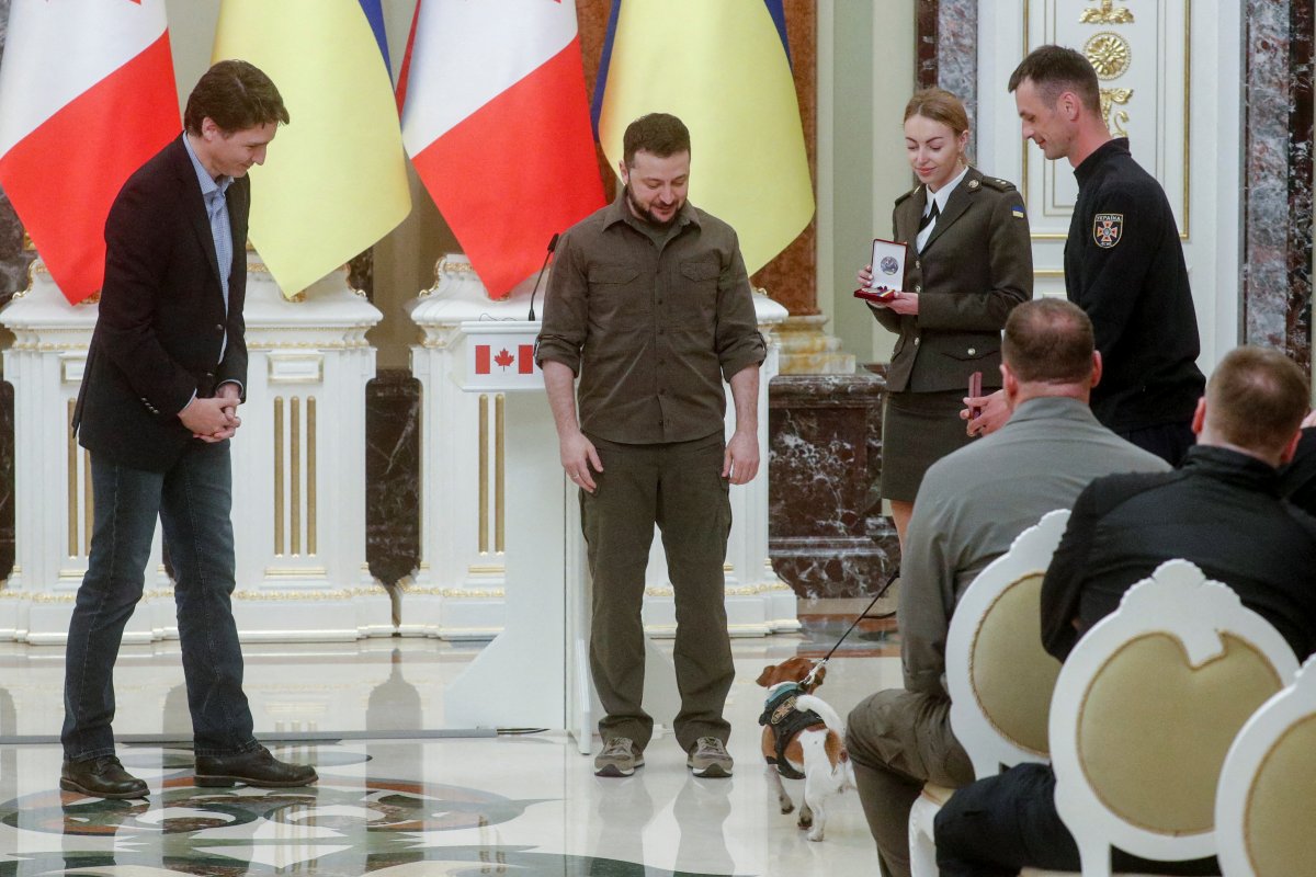 Vladimir Zelensky, mayınları tespit eden köpeğe devlet nişanı verdi