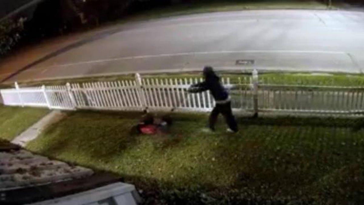In the USA, the thief mowed the lawn of the house he entered