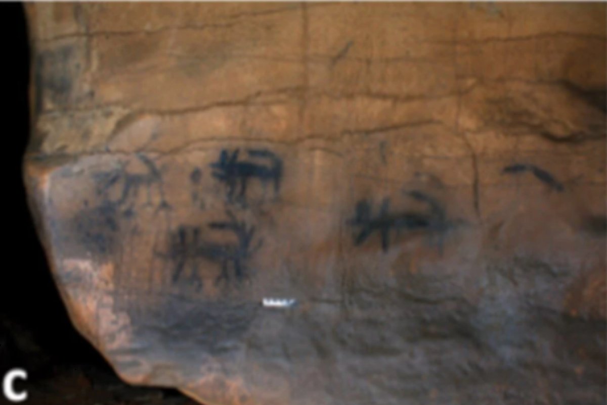 1,000-year-old cave drawings of Indians found in the USA #5