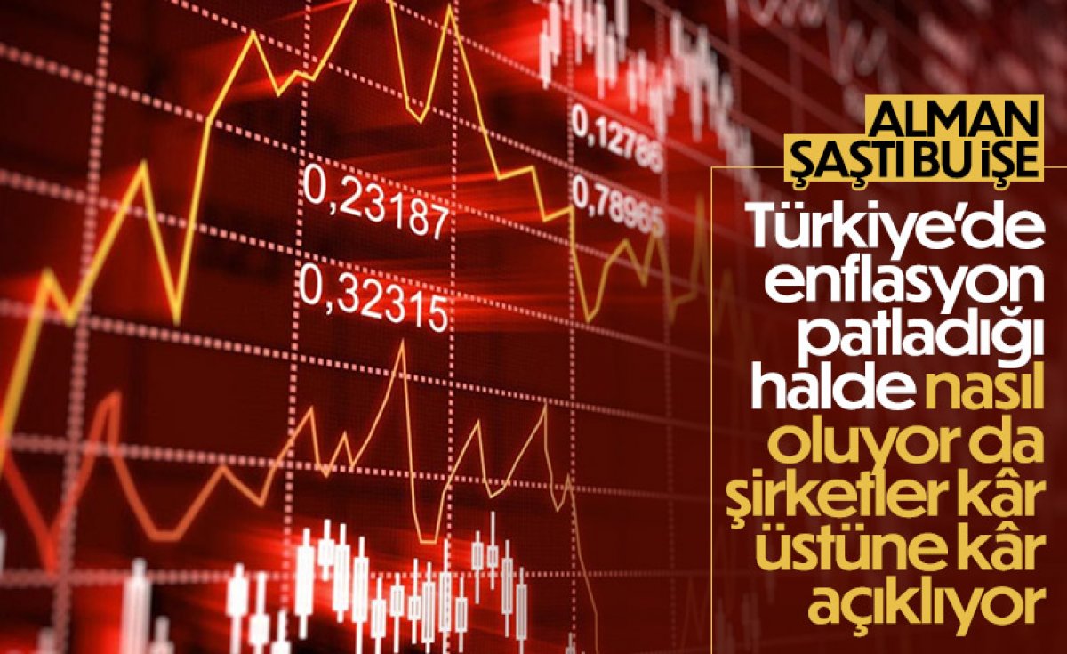 The Guardian drew attention to the resilience of the Turkish economy #2