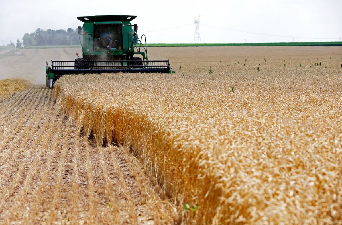 AB'den Ukrayna'ya tarım ihracatı desteği