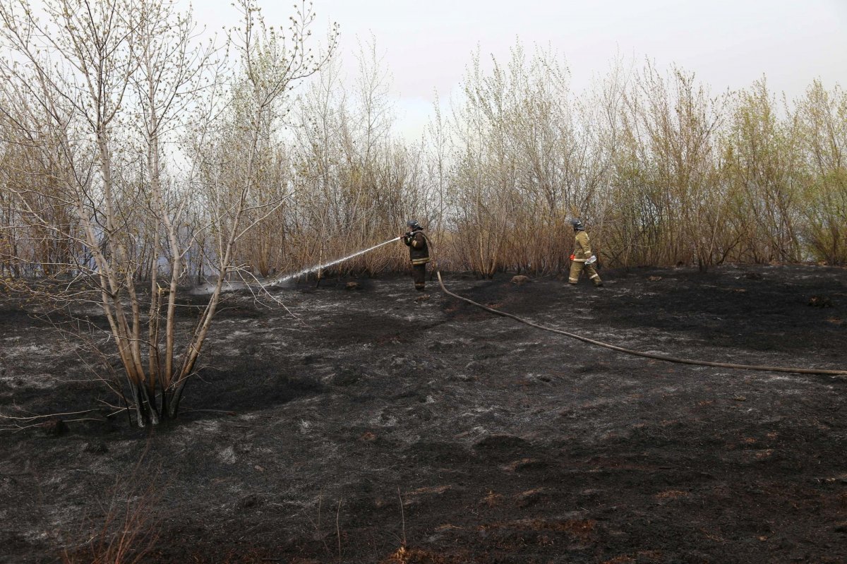 Russia battling forest fires #6