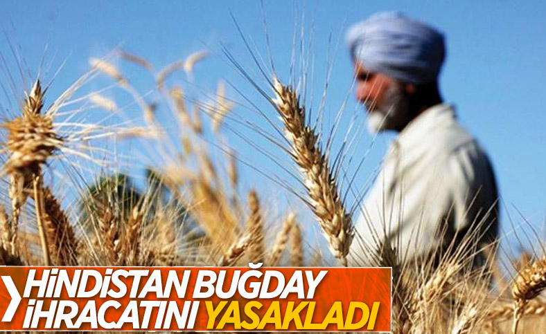 Hindistan'dan buğday ihracatına yasak