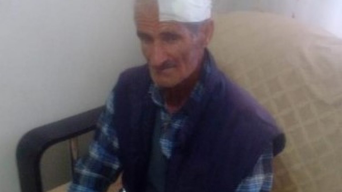 Diyarbakır'da yaşlı adama köpekler saldırdı