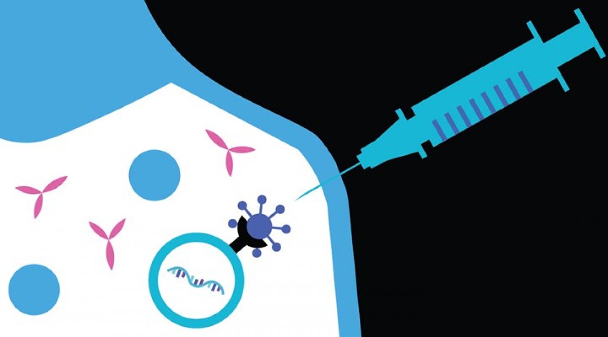 Koronavirüs aşılarının temel bileşeni mRNA nedir