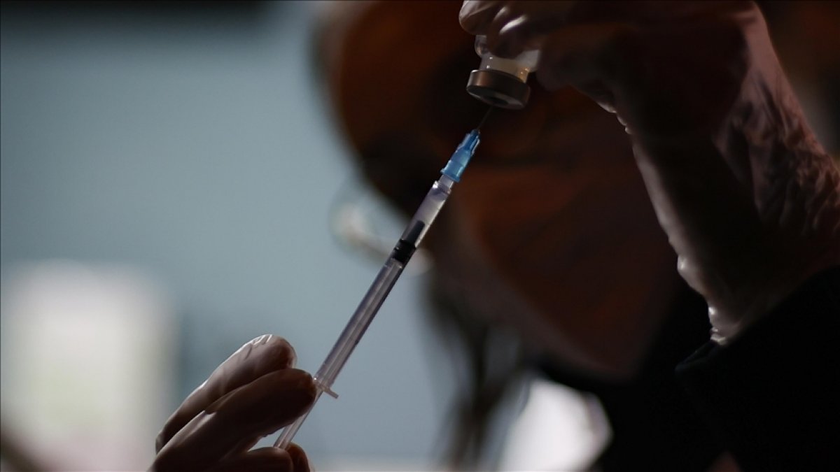 27 AB ülkesinden, maymun çiçeğine karşı aşı alma kararı #1