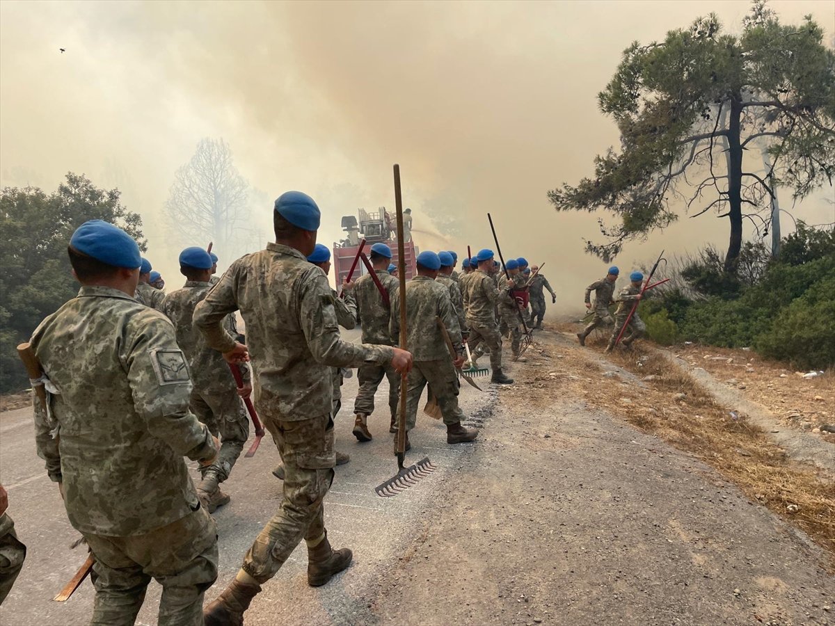 Forest area surrendered to flames in TRNC #4
