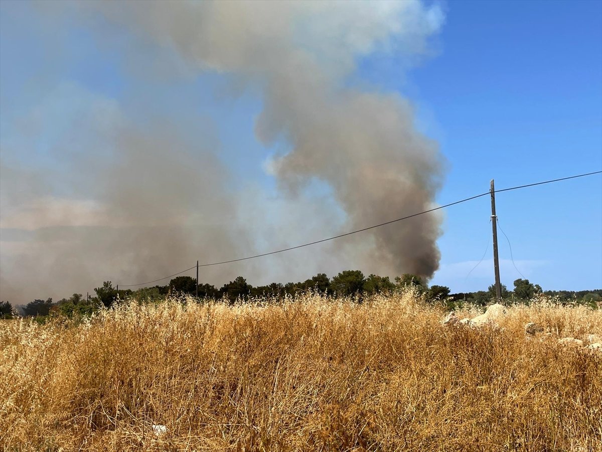 Forest area surrendered to flames in TRNC #2