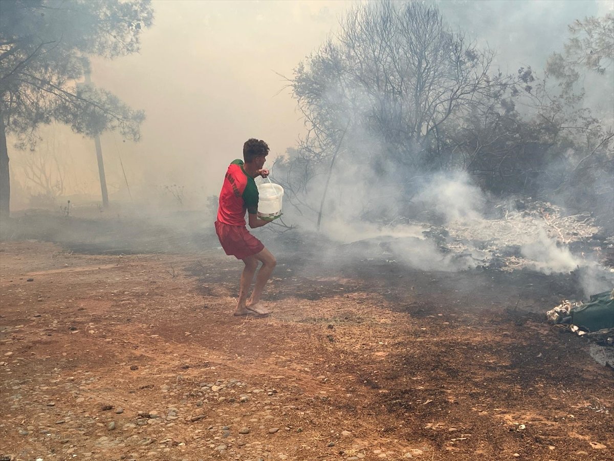 Forest area surrendered to flames in TRNC #7