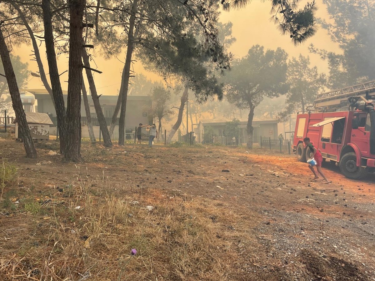 Forest area surrenders to flames in TRNC #8