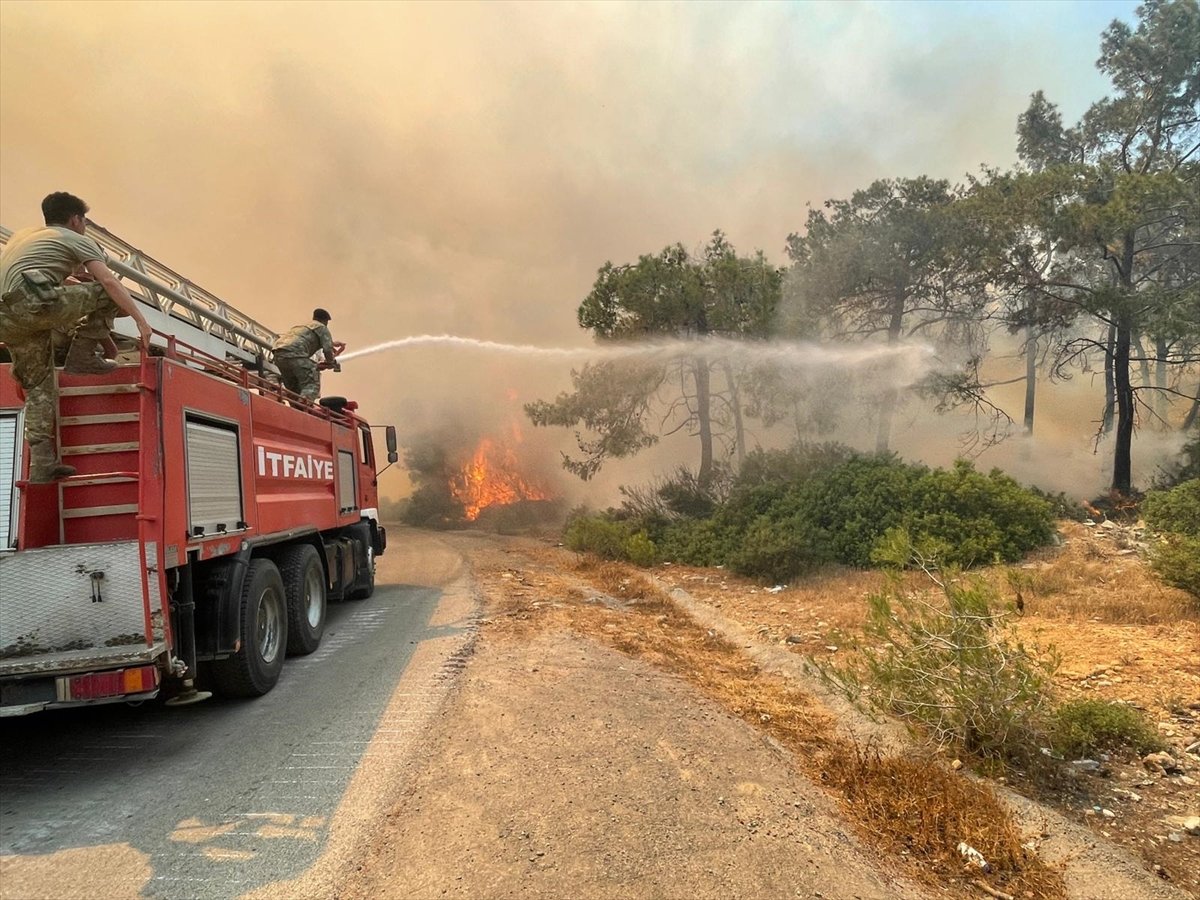Forest area surrendered to flames in TRNC #5