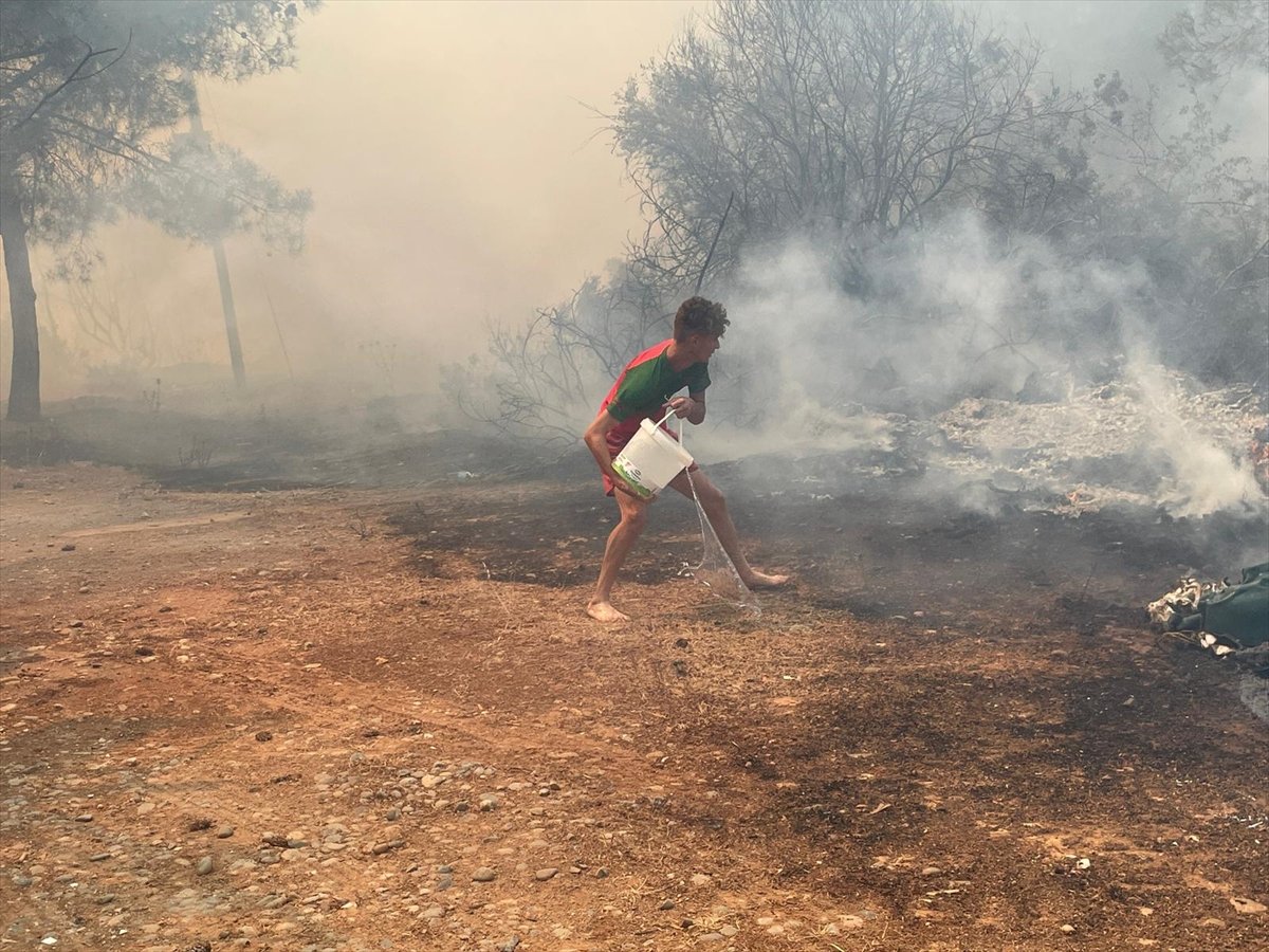 Forest area surrendered to flames in TRNC #9