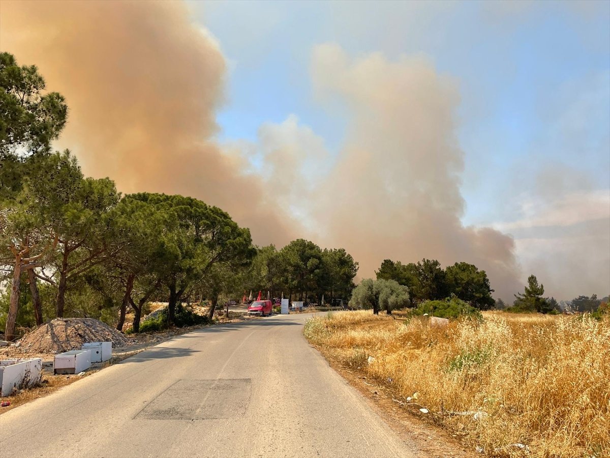 Forest area surrendered to flames in TRNC #3