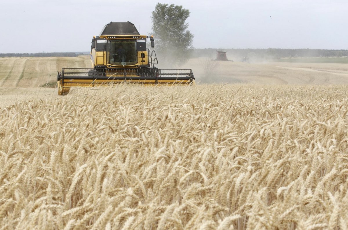 Ukrayna’nın Herson şehrinden Rusya’ya tahıl ihracatı başladı