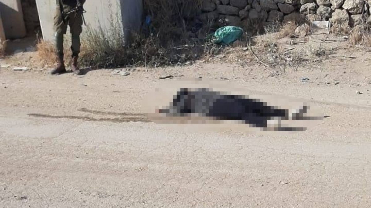 Israeli forces kill a Palestinian woman