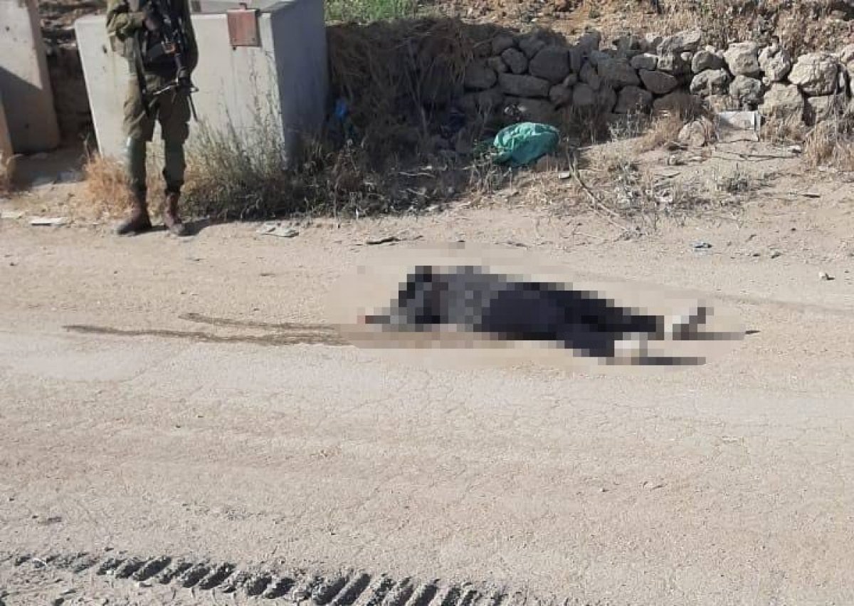 Israeli forces kill a Palestinian woman #2