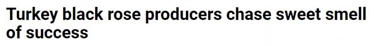 France 24, Halfeti de yetişen karagülü yazdı #1