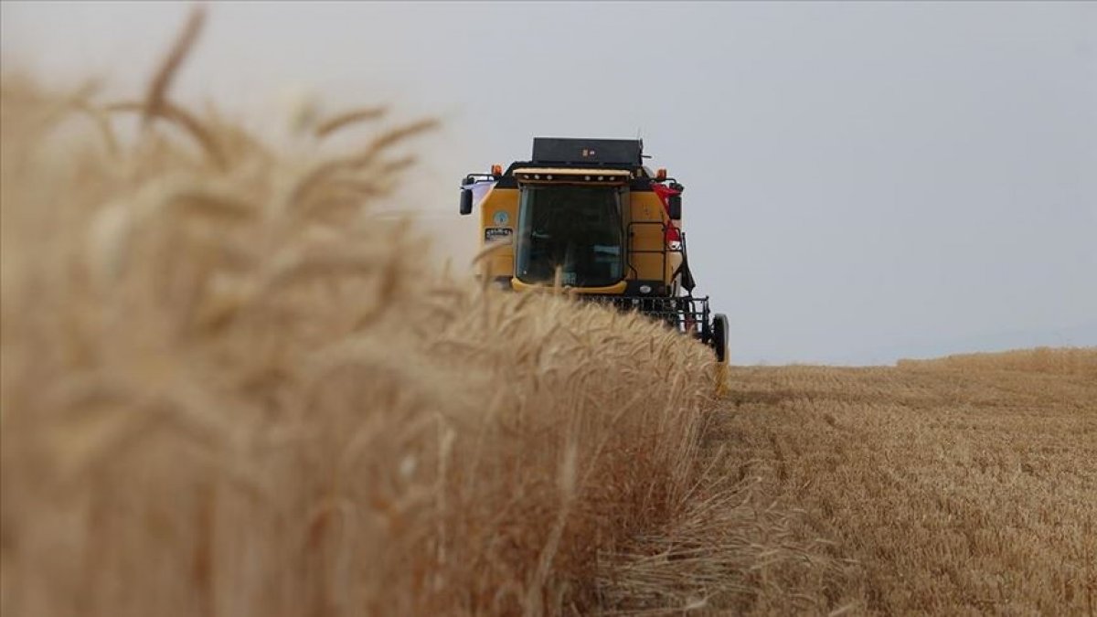 ABD, Rusya'dan tahıl ihracı için nakliye şirketlerine güvence verebilir
