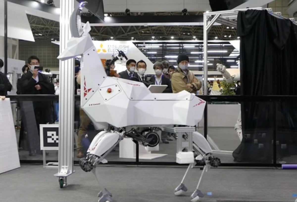 Goat-designed robot in Japan: BEX #3
