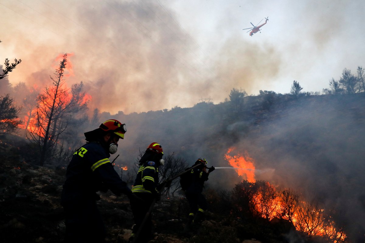 Forest fire in Greece #1