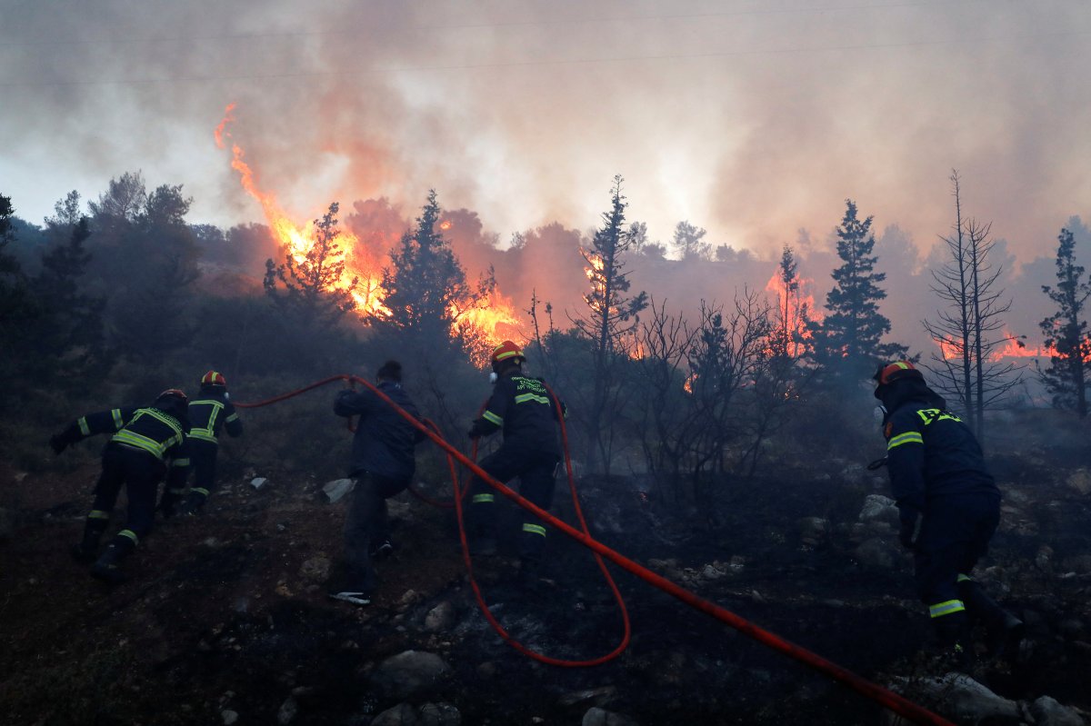 Forest fire in Greece #11