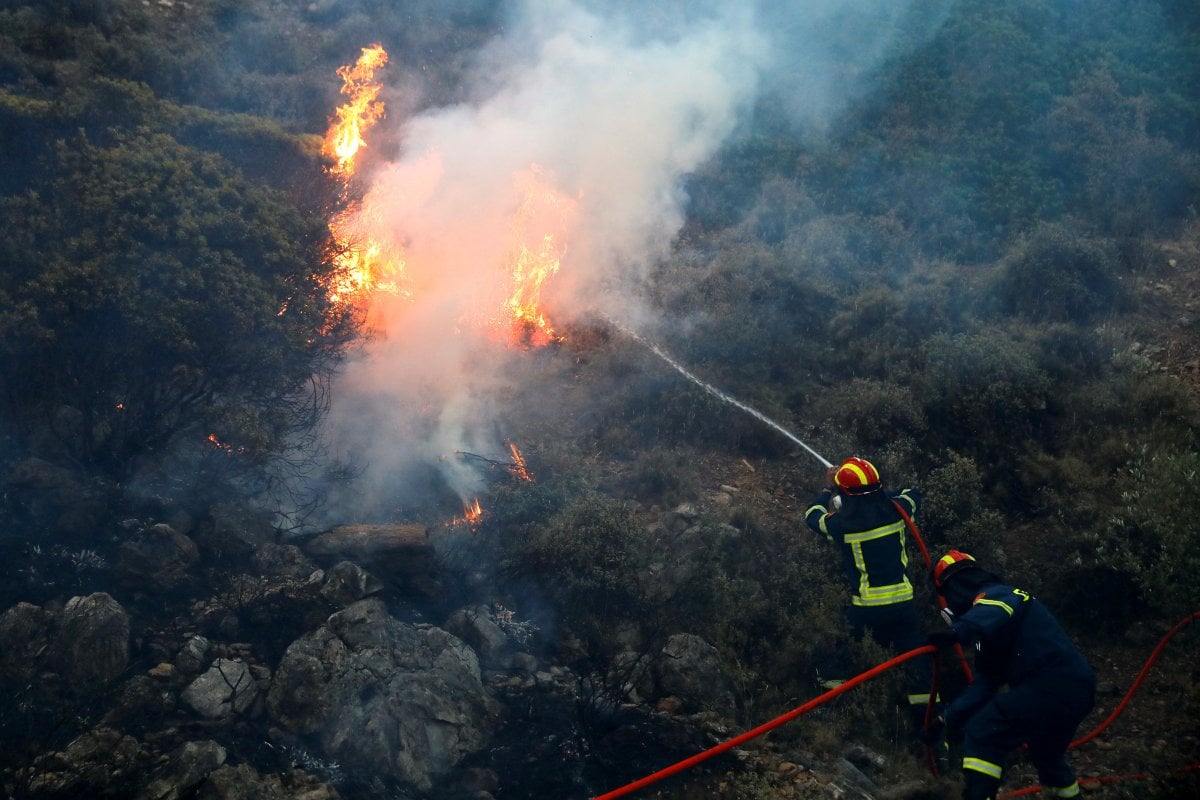 Forest fire in Greece #9