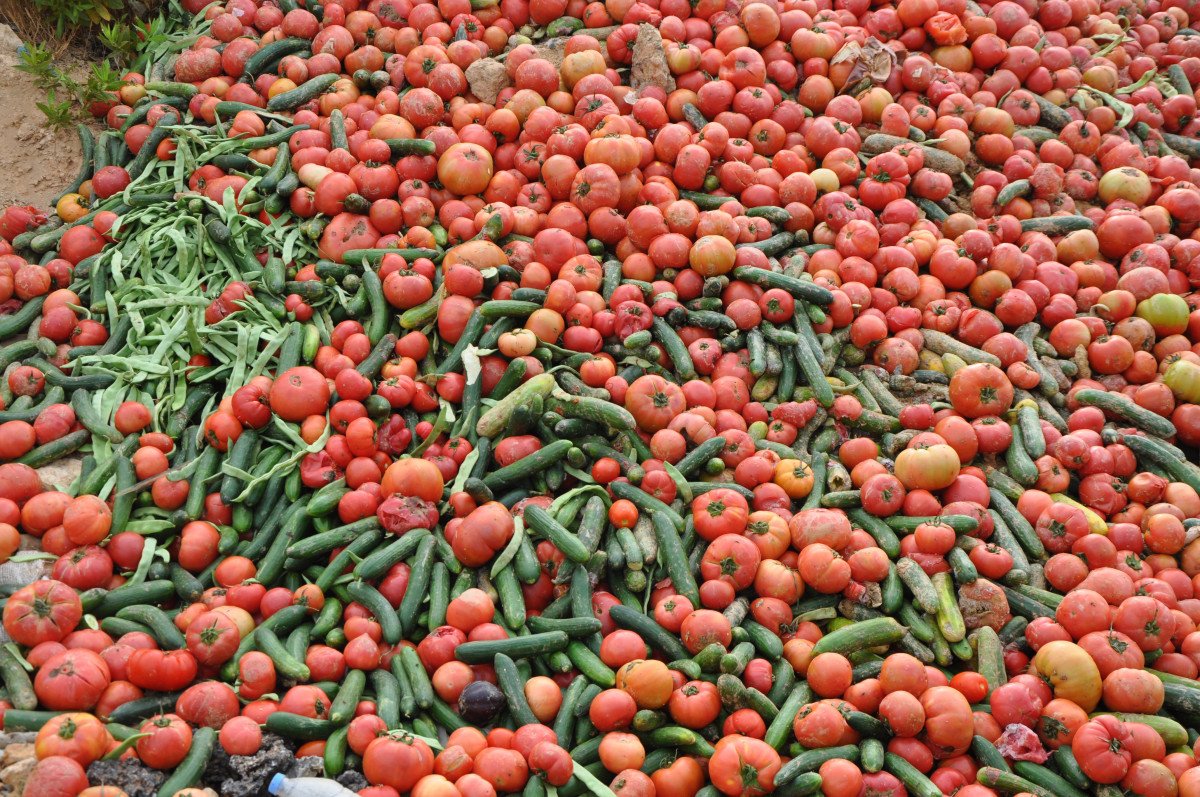 Antalya’da çöpe dökülen sebzelerle ilgili açıklama  #5