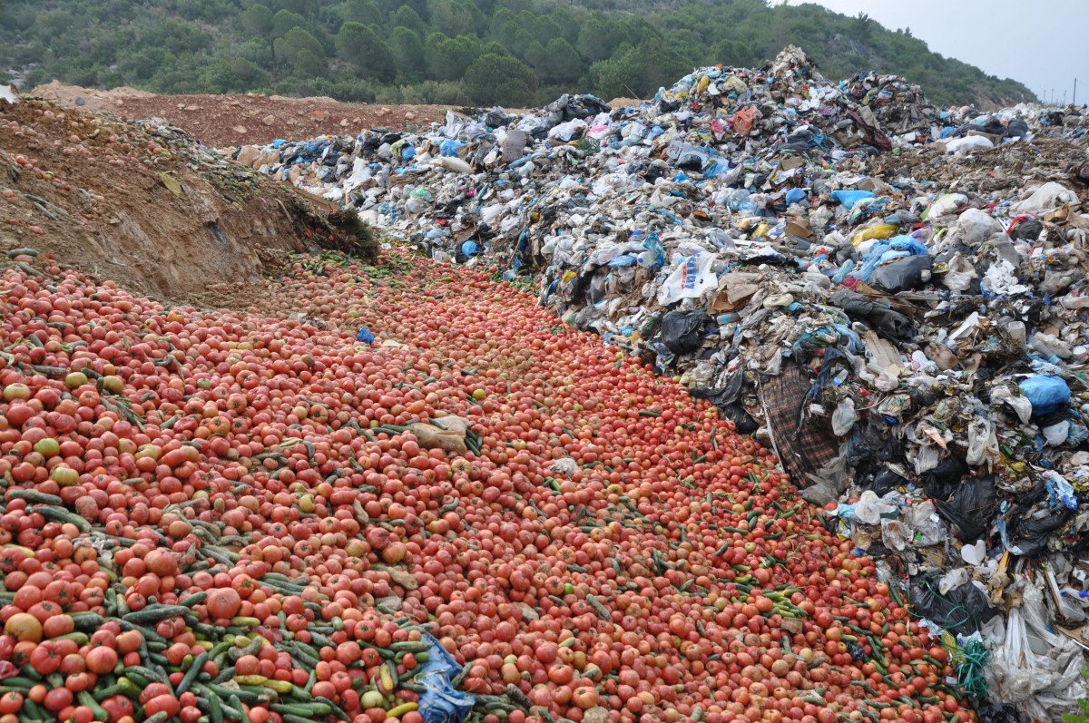 Antalya’da çöpe dökülen sebzelerle ilgili açıklama  #1