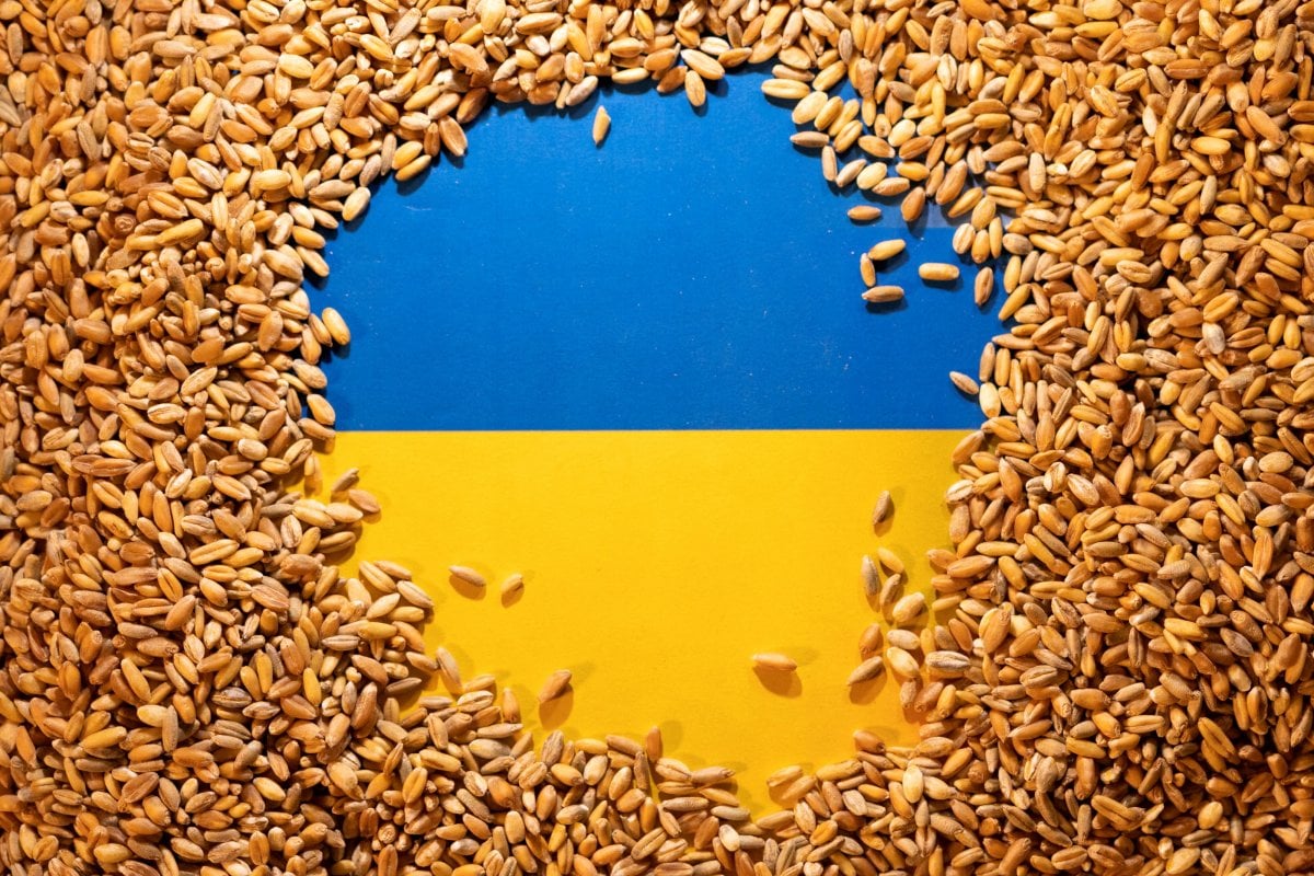 Kiryakos Mitsotakis: We can produce wheat in Ukraine with Turkey #1