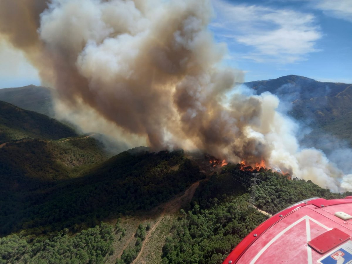 Forest fire broke out in Spain: There are injured #2