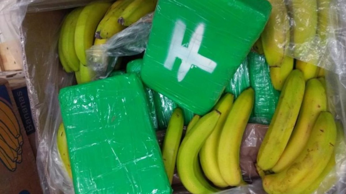 Drugs found in banana parcels in Czechia