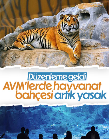 AVM'lere hayvanat bahçesi ve doğal yaşam parkı yasağı