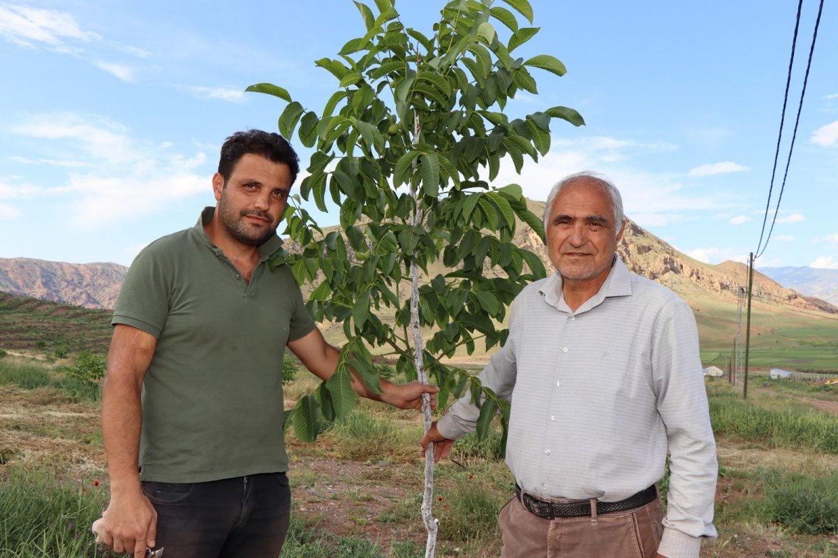 Erzurumlu girişimci, atıl topraklara 16 bin ceviz fidanı dikti #5
